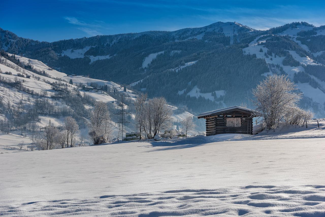 Bauernhofhotel "Die Unterbergerin": Farm Stay with Spa Access in Gastein Dorfgastein Exterior photo